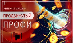 Интернет-магазин ПРОФИ (продвинутый)