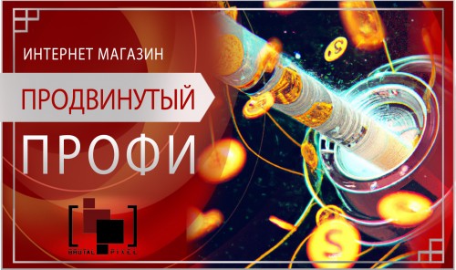Интернет-магазин ПРОФИ (продвинутый)