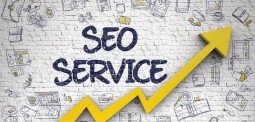 SEO продвижение Интернет-Магазина (1 мес)